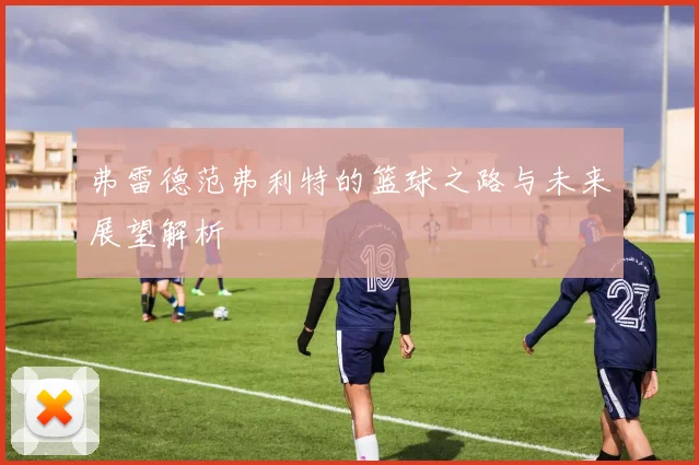 弗雷德范弗利特的篮球之路与未来展望解析