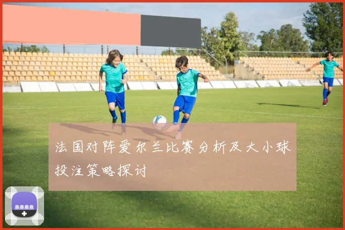 法国对阵爱尔兰比赛分析及大小球投注策略探讨